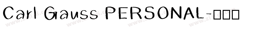 Carl Gauss PERSONAL字体转换